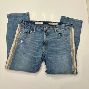 Anthropologie Pilcro and the Letterpress Slim Boyfriend Size 32 Jeans